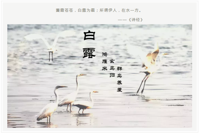 1542612778729560.png image.png