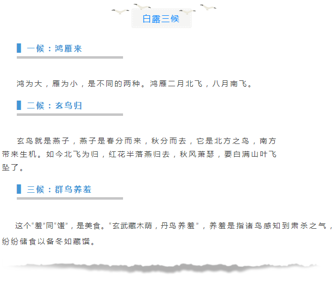 1542612806762178.png image.png