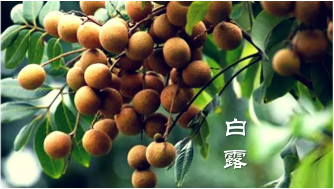 1542612857820616.png image.png